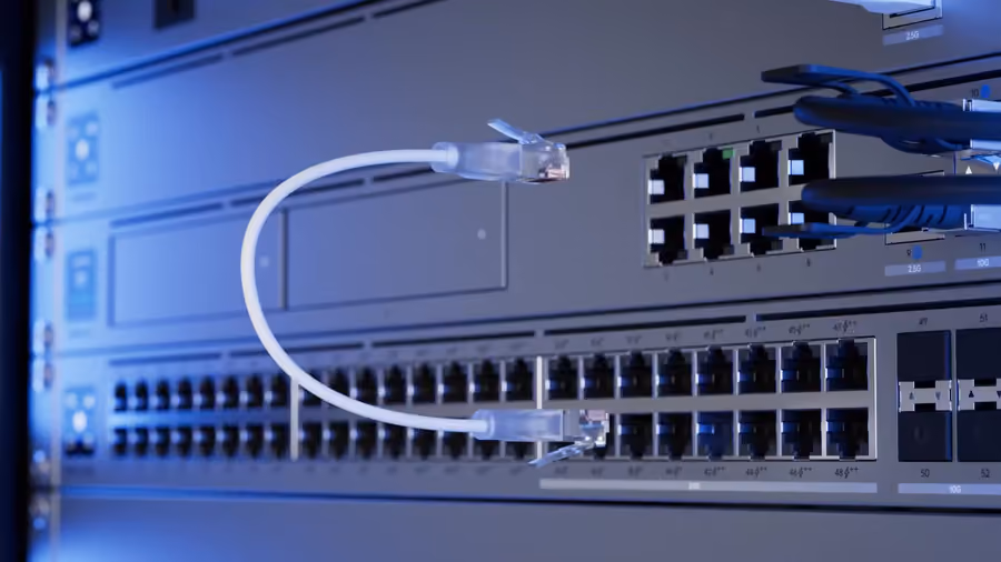 Patch cables plugged into the ports of a rack-mounted network switch.